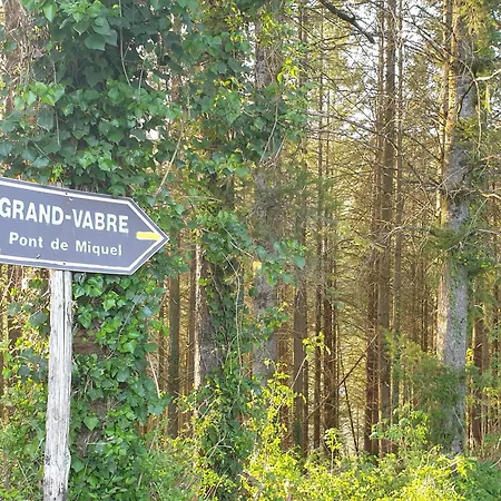 Aux Gorges Du Dourdou 2* Grand-Vabre