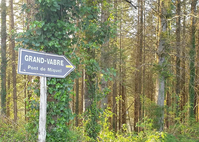 Aux Gorges Du Dourdou 2* Grand-Vabre