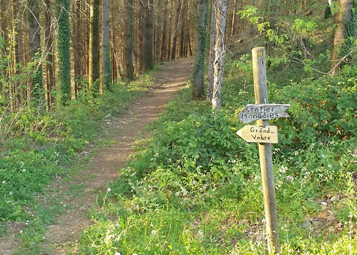 Aux Gorges Du Dourdou 2* Grand-Vabre